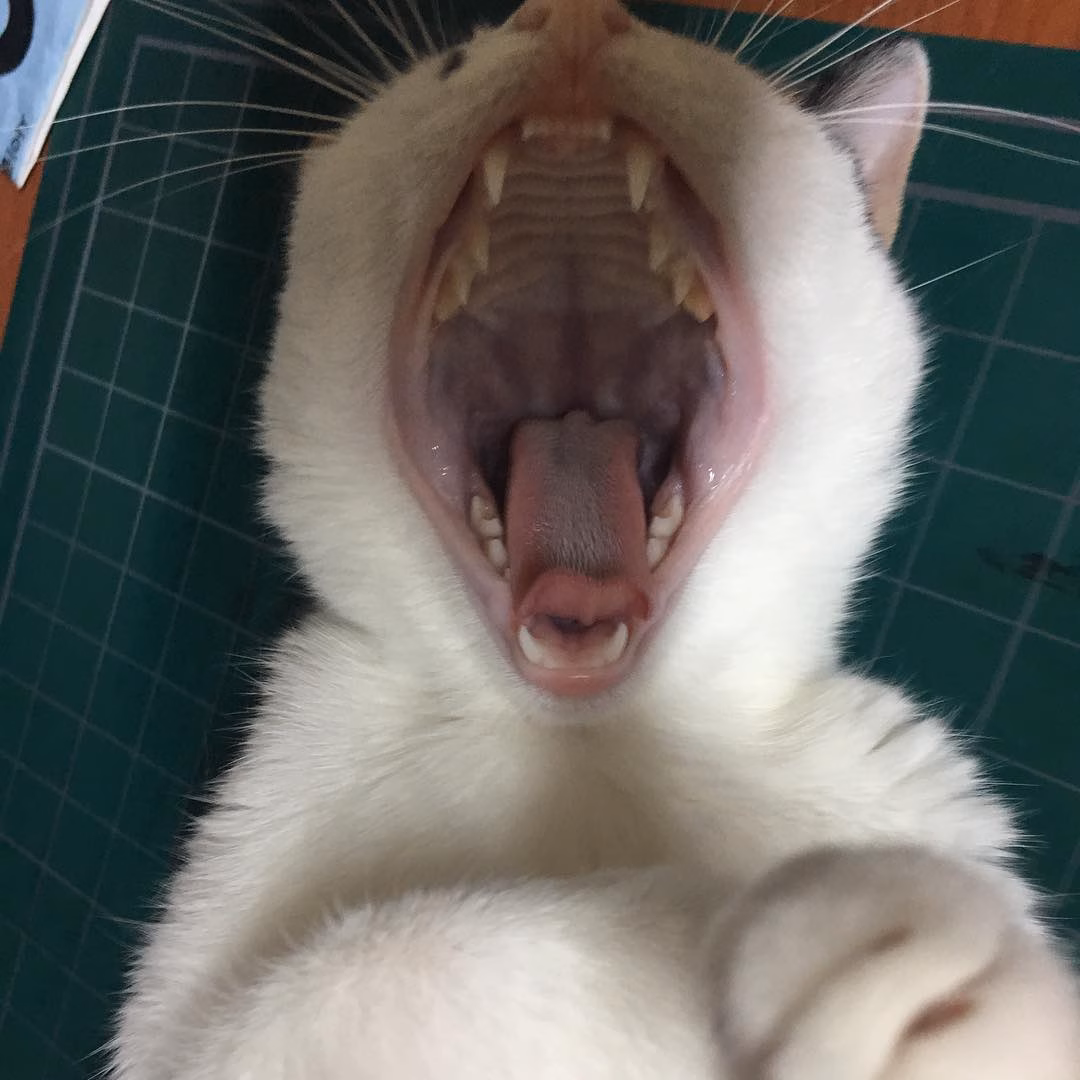 우아암~~