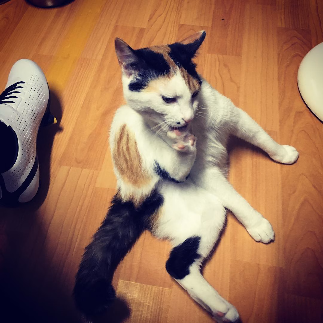 발 맛!!