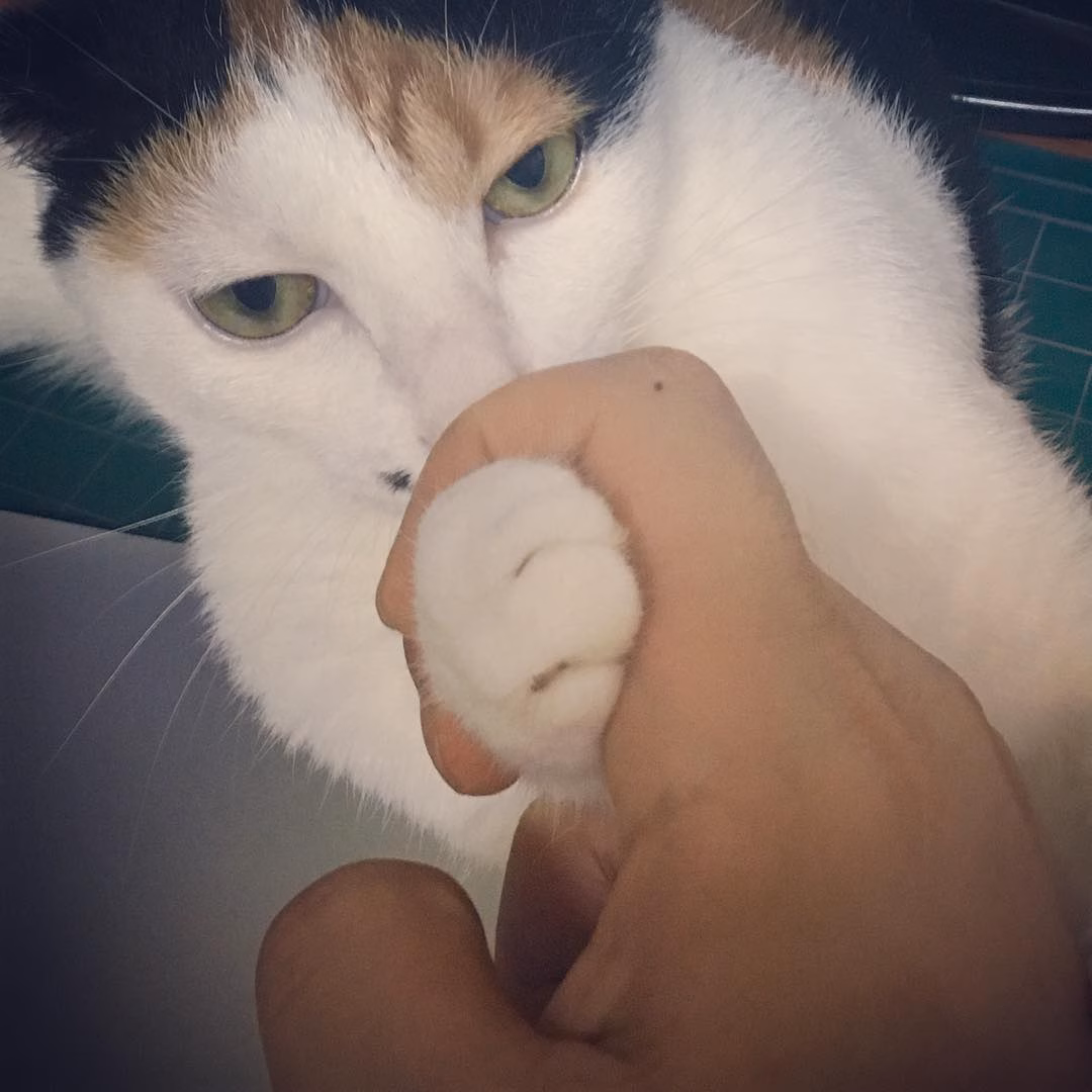 운동은 팔씨름이지