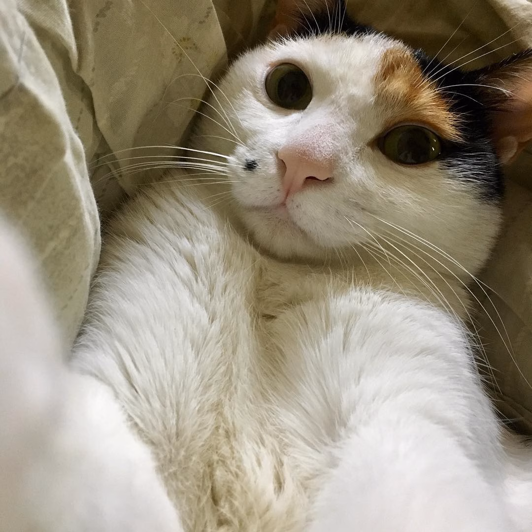 내 얼굴 잘 나오나??