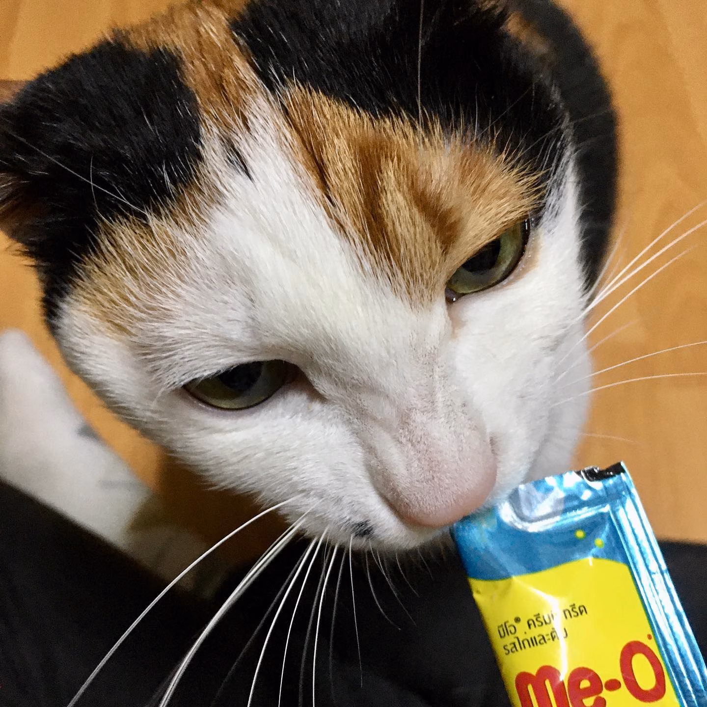 맛 보단.. 양