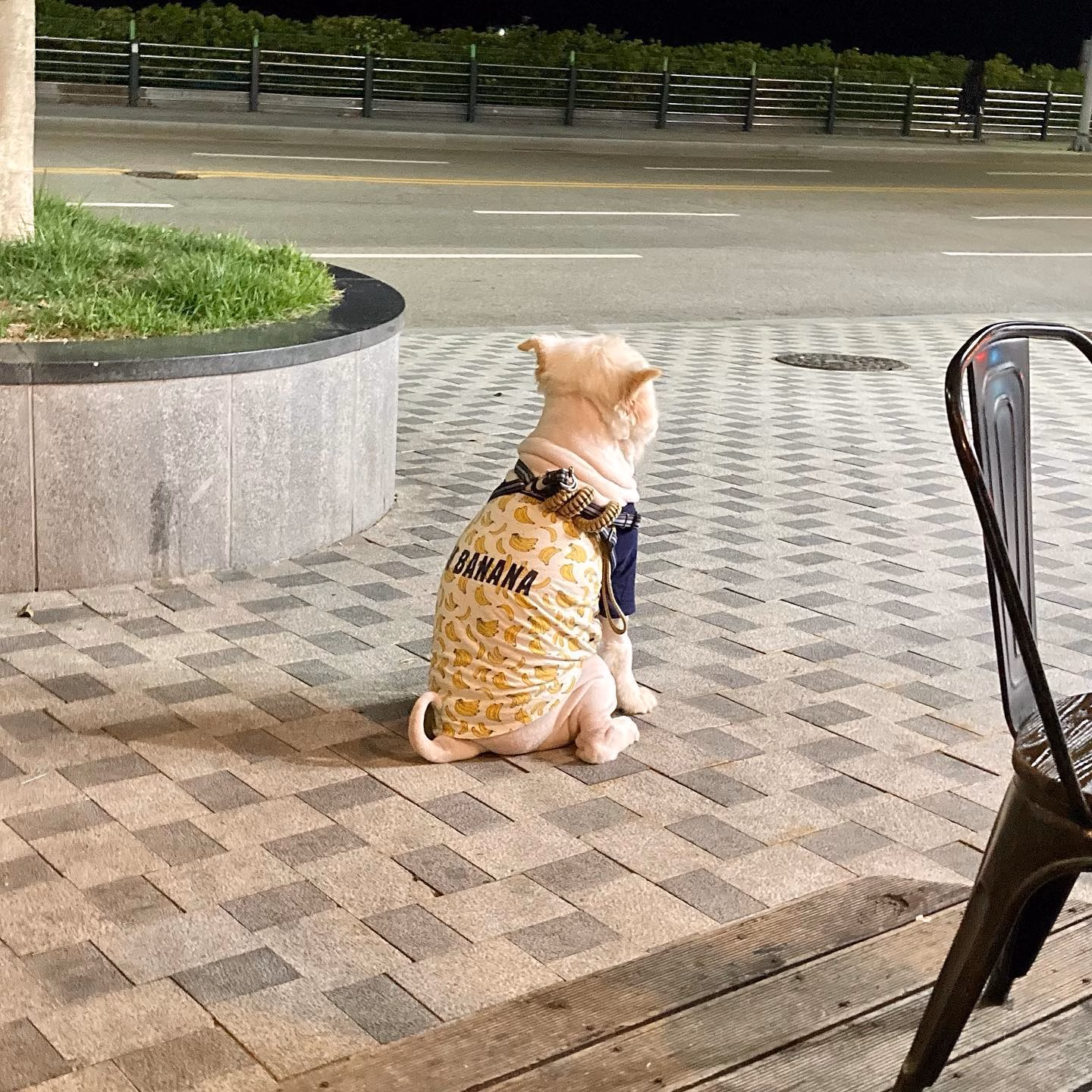 산타!!!