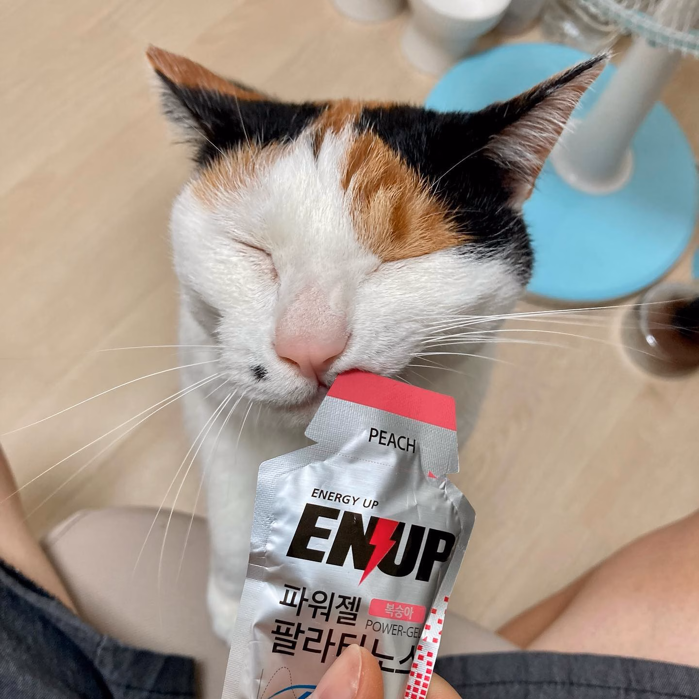 또 속았다