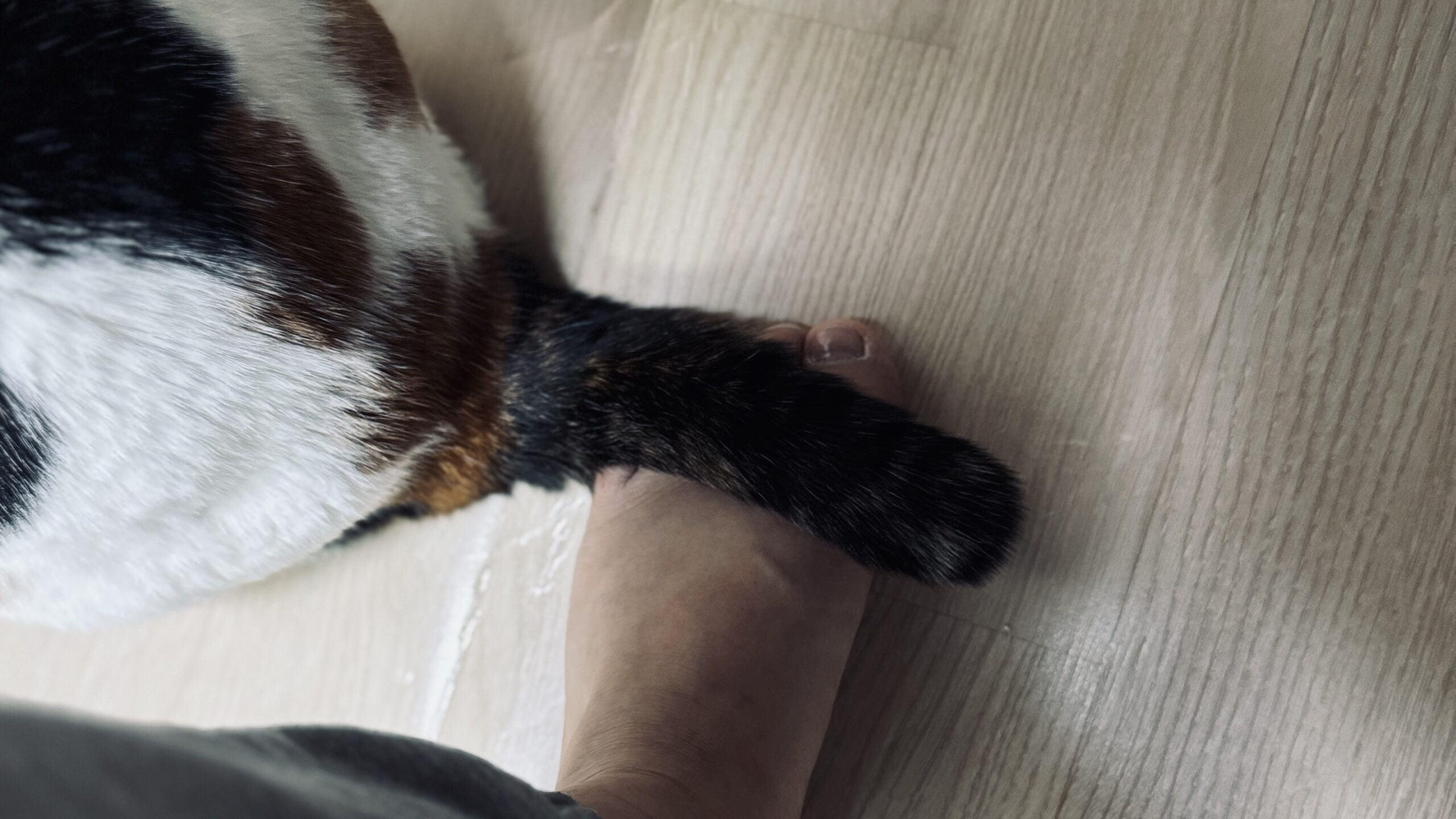 이건 무슨 뜻이지??