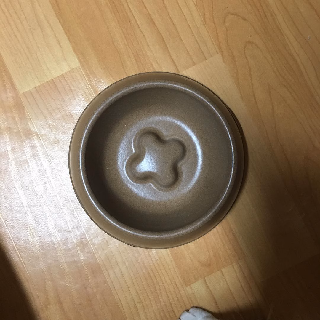빈 밥그릇!