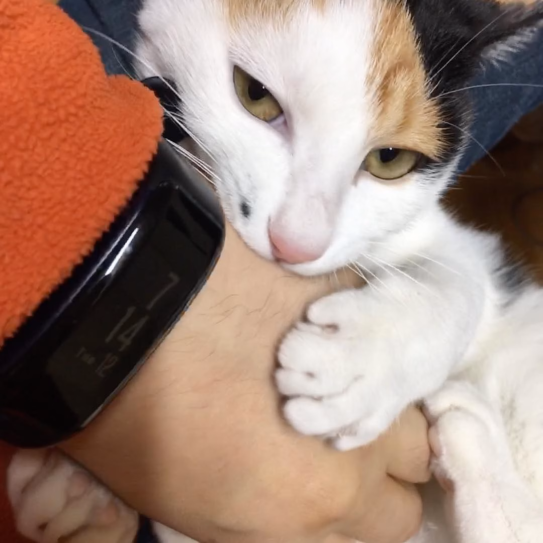 야무지게 물어보자