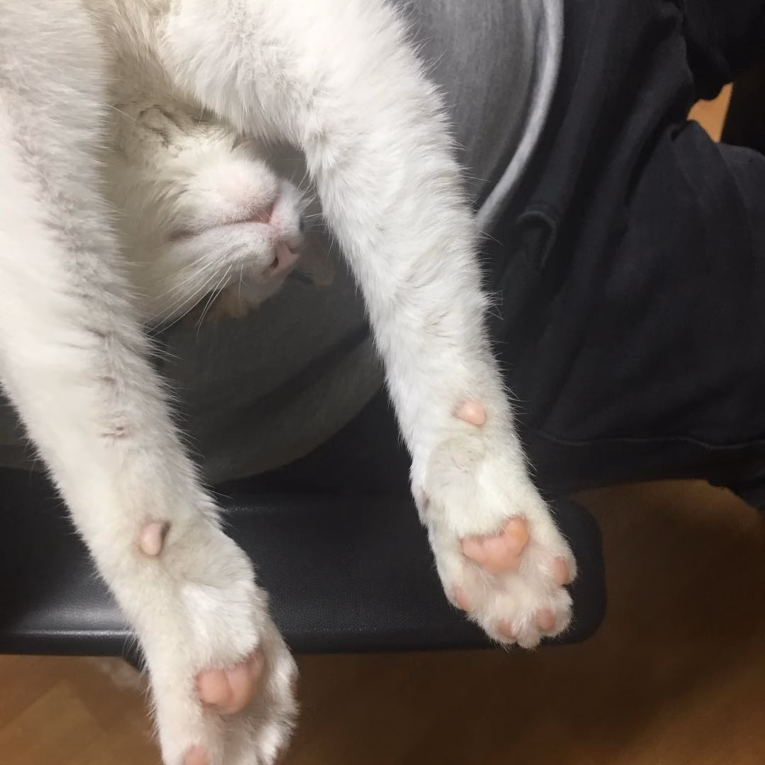 만세여!!